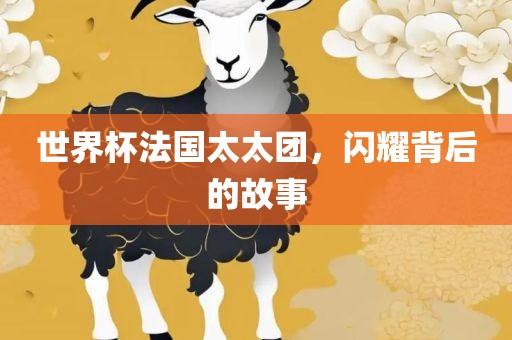 世界杯法国太太团，闪耀背后的故事眉山市正发家政服务有限公司
