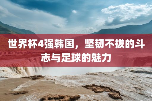 世界杯4强韩国，坚韧不拔的斗志与足球的魅力眉山市正发家政服务有限公司