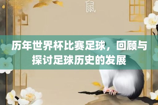 历年世界杯比赛足球，回顾与探讨足球历史的发展
