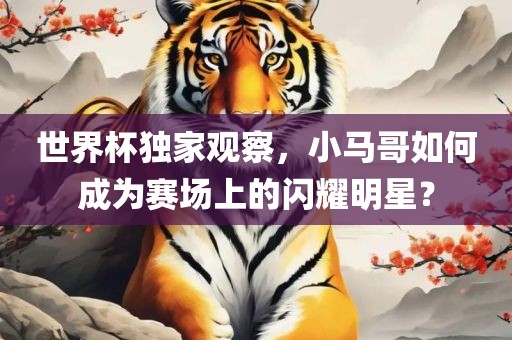世界杯独家观察，小马哥如何成为赛场上的闪耀明星？眉山市正发家政服务有限公司
