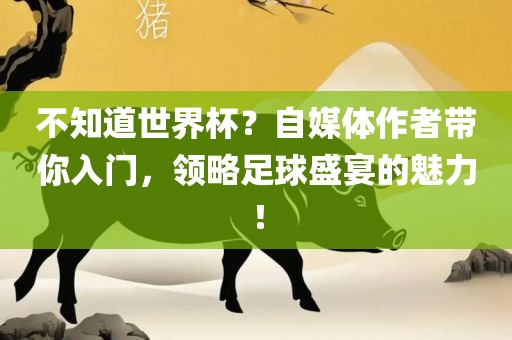不知道世界杯？自媒体作者带你入眉山市正发家政服务有限公司门，领略足球盛宴的魅力！
