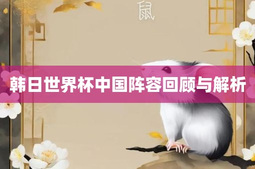 韩日世界杯中国阵容回顾与解析