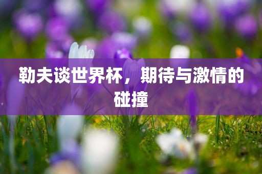 勒夫谈世界杯，期待与激情的碰撞眉山市正发家政服务有限公司