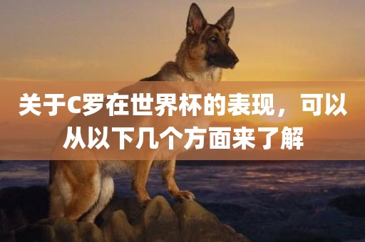 关于C罗在世界杯的表现，可以从以下几个方面来了解