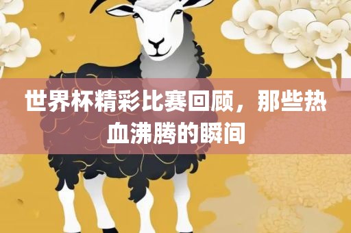 世界杯精彩比赛回顾，那些热血沸腾的瞬间