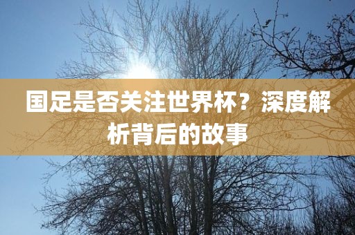chenqimei 第3页