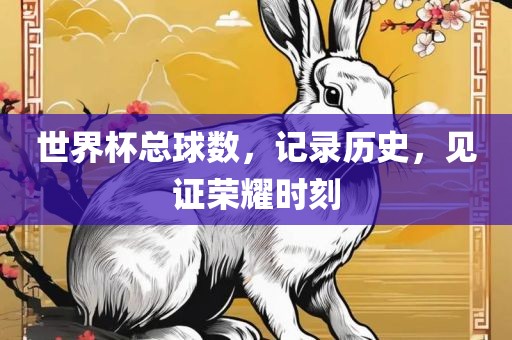 世界杯总球数，记录历史，见证荣耀时刻