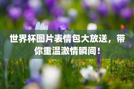 世界杯图片表情包大放送，带你重温激情瞬间！