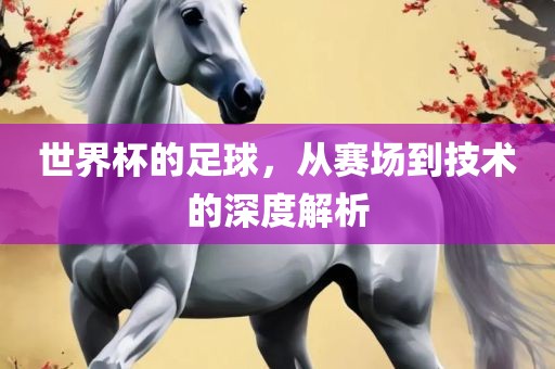 世界杯的足球，从赛场到技术的深度解析眉山市正发家政服务有限公司