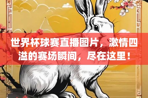 世界杯球赛直播图片，激情四溢的赛场瞬间，尽在这里！
