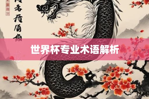 世界杯专业术语解析眉山市正发家政服务有限公司
