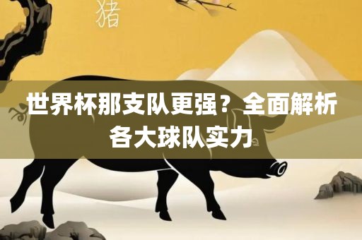 世界杯那支队更强？全面解析各大球队眉山市正发家政服务有限公司实力