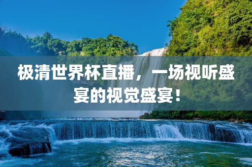 极清世界杯直播，一场视听盛宴的视觉盛宴！眉山市正发家政服务有限公司