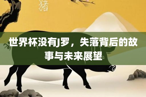 世界杯没有J罗，失落背后的故事与未来展望