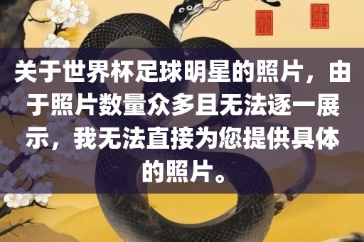 关于世界杯足球明星的照片，由于照片数量众多且无法逐一展示，我无法直接为您提供具体的照片。眉山市正发家政服务有限公司