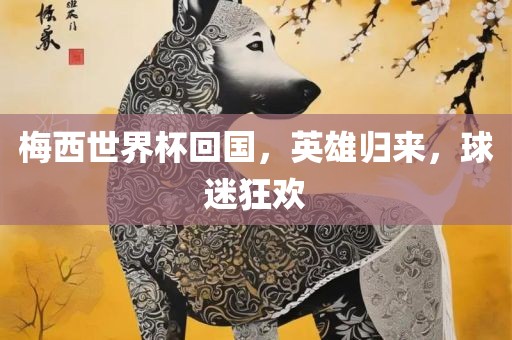 梅西世界杯回国，英雄归来，球迷狂欢