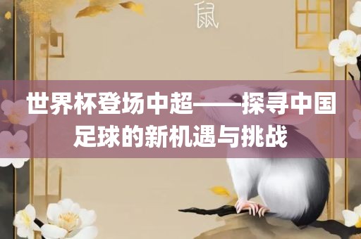 世界杯登场中超——探寻中国足球的新机遇与挑战