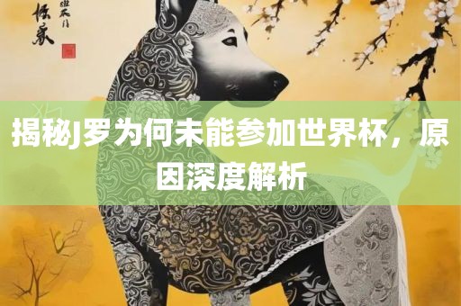 揭秘J罗为何未能参加世界杯，原因深度解析眉山市正发家政服务有限公司