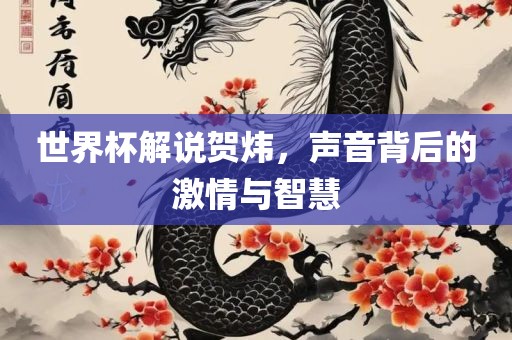 世界杯解说贺炜，声音背后的激情与智慧眉山市正发家政服务有限公司