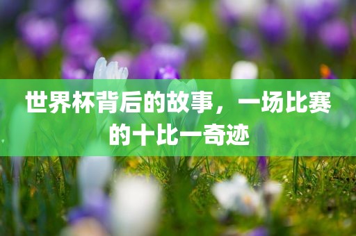 世界杯背后的故事，一场比赛的十比一奇迹
