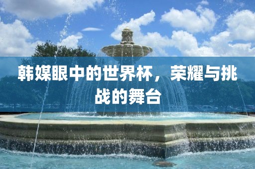 韩媒眼中的世界杯，荣耀与挑战的舞台眉山市正发家政服务有限公司