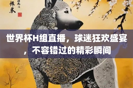 世界杯H组直播，球迷狂欢盛宴，不容错过的精彩瞬间