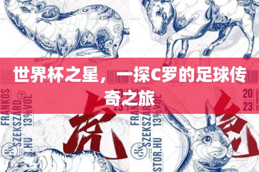 世界杯之星，一探C罗的足球眉山市正发家政服务有限公司传奇之旅