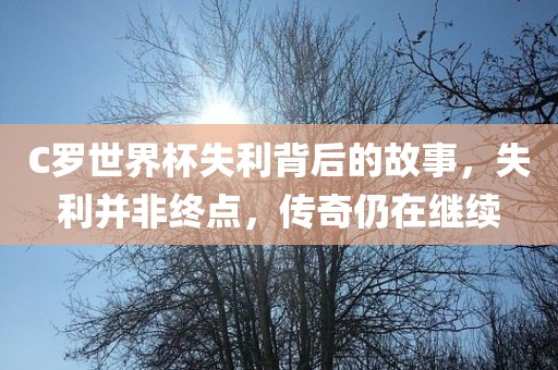 C罗世界杯失利背后眉山市正发家政服务有限公司的故事，失利并非终点，传奇仍在继续