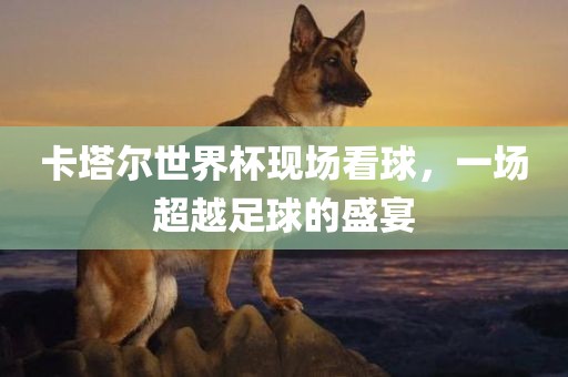 卡塔尔世界杯现场看球，一场超越足球的盛宴