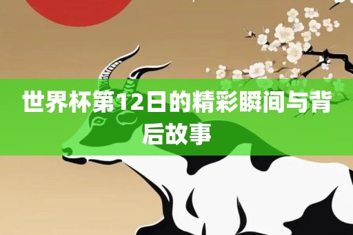 世界杯第12日的精彩瞬间与背后故事