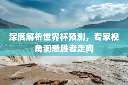 深度解析世界杯预测，专家视角洞悉胜者走向