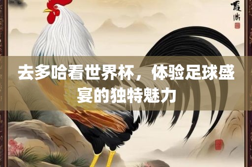 去多哈看世界杯，体验足球盛宴的独特魅力眉山市正发家政服务有限公司