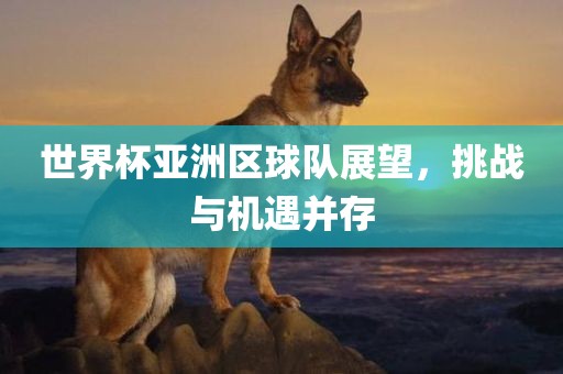 世界杯亚洲区球队展望，挑战与机遇并存
