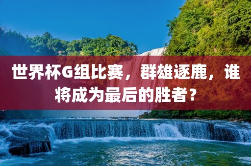 世界杯G组比赛，群雄逐鹿，谁将成为最后的胜者？眉山市正发家政服务有限公司