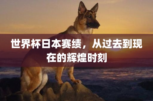 世界杯日本赛绩，从过去到现在的辉煌时刻