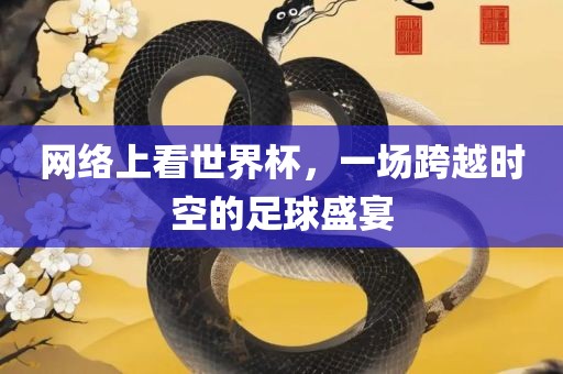 网络上看世界杯，一场跨越时空的足球盛宴眉山市正发家政服务有限公司