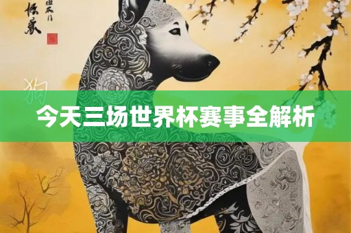 今天三场世界杯赛事全解析