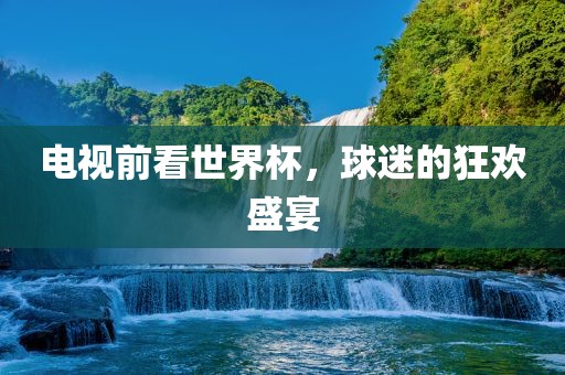 电视前看世界杯，球迷的狂欢盛宴