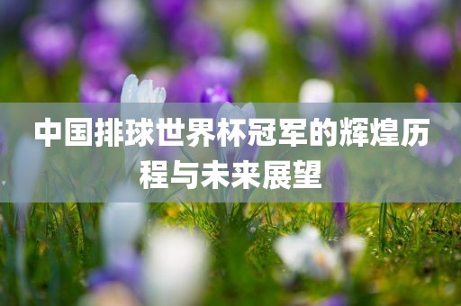 中国排球世界杯冠军的辉煌历程与眉山市正发家政服务有限公司未来展望