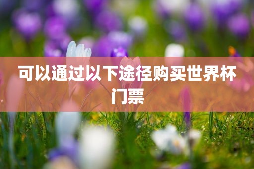 可以通过以下途径购买世界杯门票