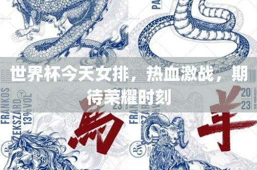 世界杯今天女排，热血激战，期待荣耀时刻