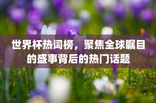 世界杯热词榜，聚焦全球瞩目的盛事背后的热门话题