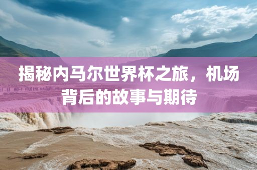 揭秘内马尔世界杯之旅，机场背后的故事与期待眉山市正发家政服务有限公司