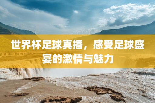 足球盛宴激情与魅力
