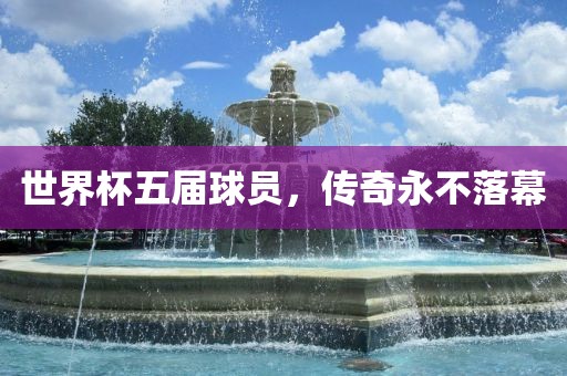 世界杯五届球员，传奇永不落幕眉山市正发家政服务有限公司