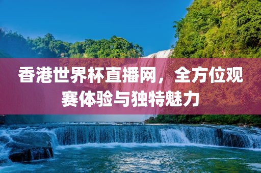 香港世界杯直播网，全方位观赛体验与独特魅力眉山市正发家政服务有限公司