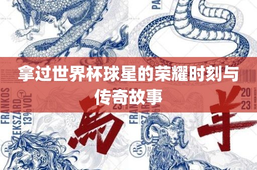 拿过世界杯球星的荣耀时刻与传奇故事