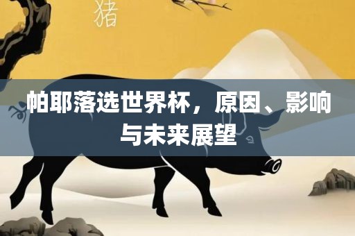 帕耶落选世界杯，原因、影响与未来展望
