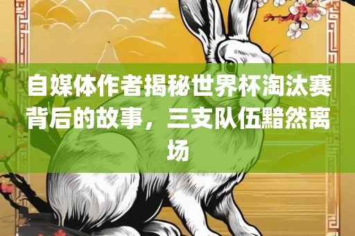 自媒体作者揭秘世界杯淘汰赛背后的故事，三支队伍黯然离场