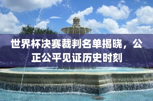 世界杯决赛裁判名单揭晓，公正公平见证历眉山市正发家政服务有限公司史时刻